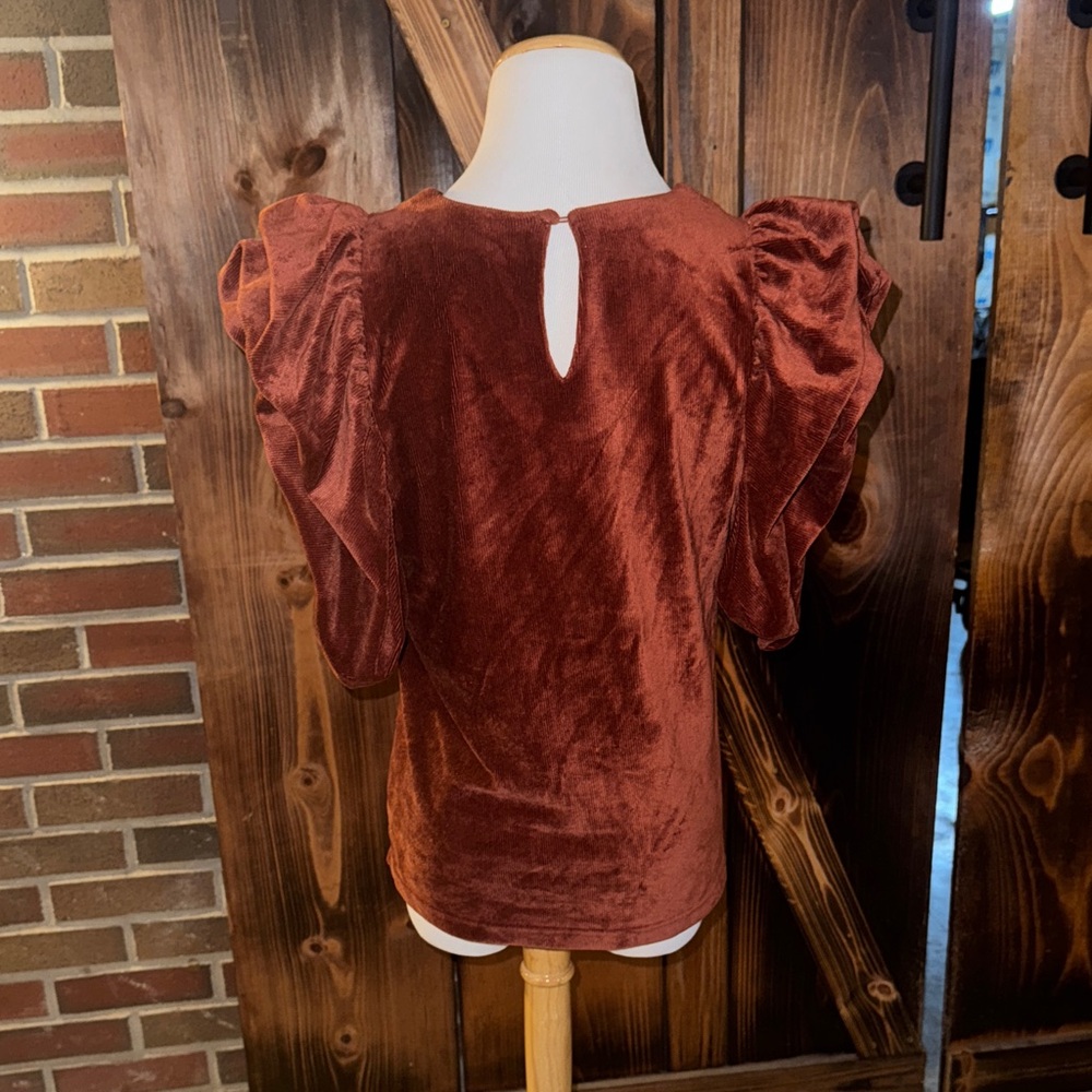 THML Rich Brown Velvet Puff Sleeve Blouse - Picture 3 of 4